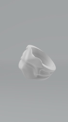 Anillo 0.2