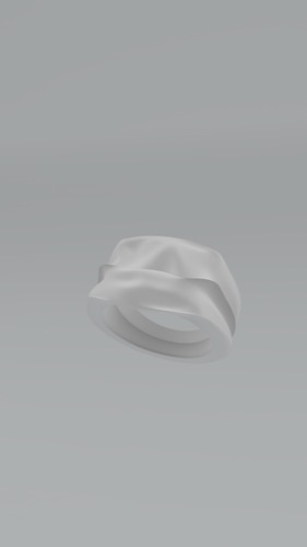 Anillo 0.5