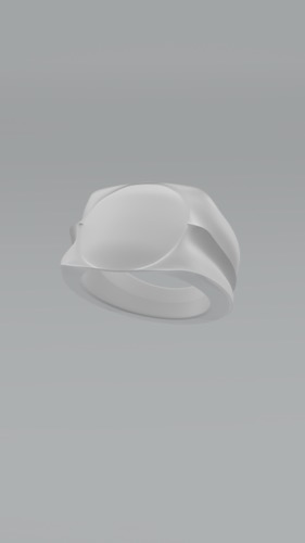 Anillo 0.1
